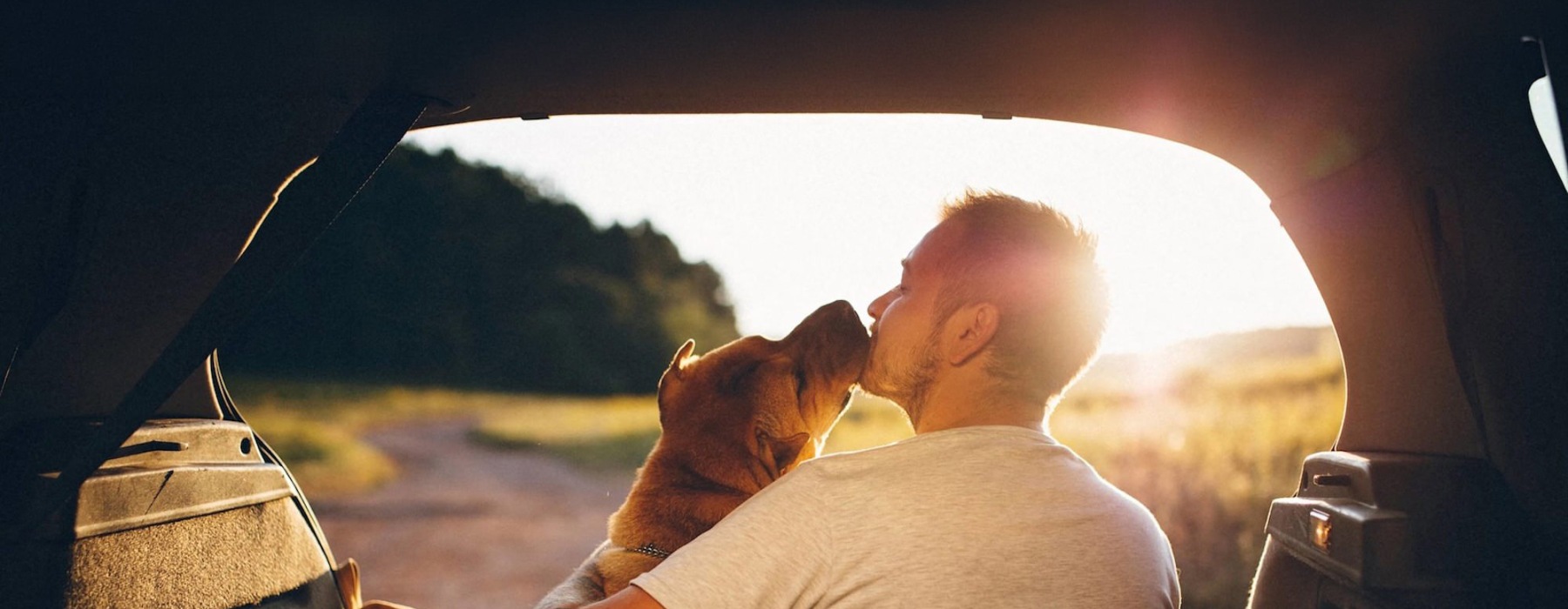 a man and a dog in a car
